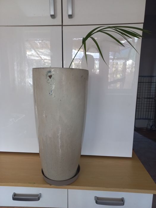 Donica ceramiczna CYGARO 50cm, z palmą AREKA, beżowa, mrozoodporna