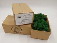 Mech chrobotek reniferowy 100g Grass Green