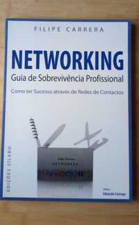 Networking: Guia de Sobrevivência Profissional de Filipe carreira