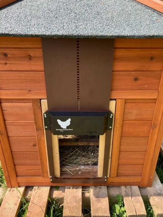 Automatyczne Brązowe Drzwi Do Kurnika Baterie Trzymają Cały Rok OKAZJA