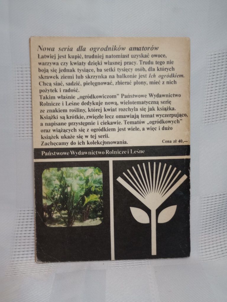 Marchew, pietruszka. Warzywa korzeniowe w ogrodzie i w domu.Szafirowsk