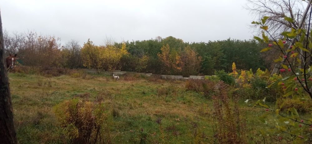 Продається земельна ділянка