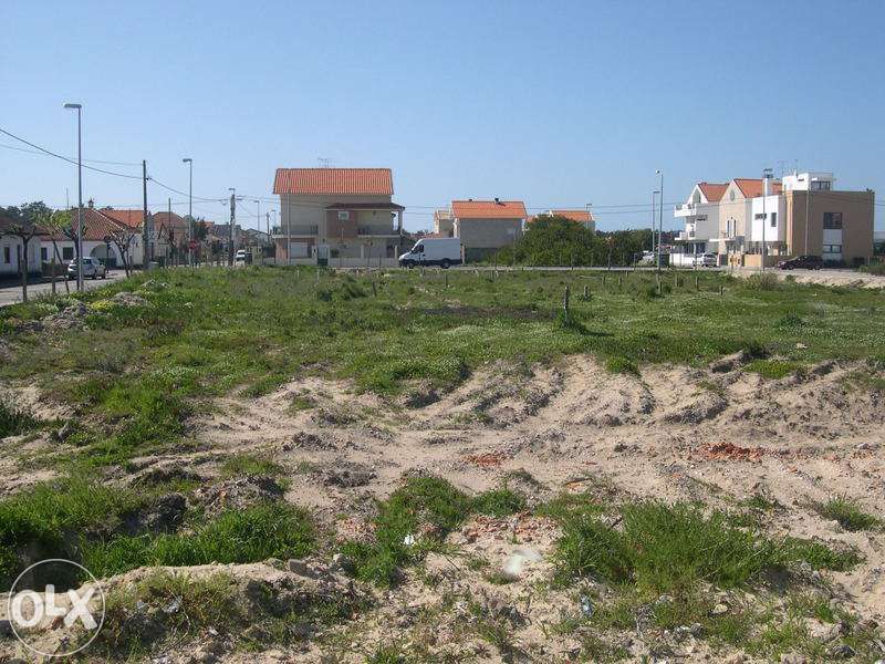 Terrenos em São Jacinto, Aveiro