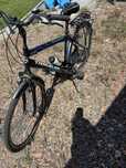 Rower meski Traveller Iguana