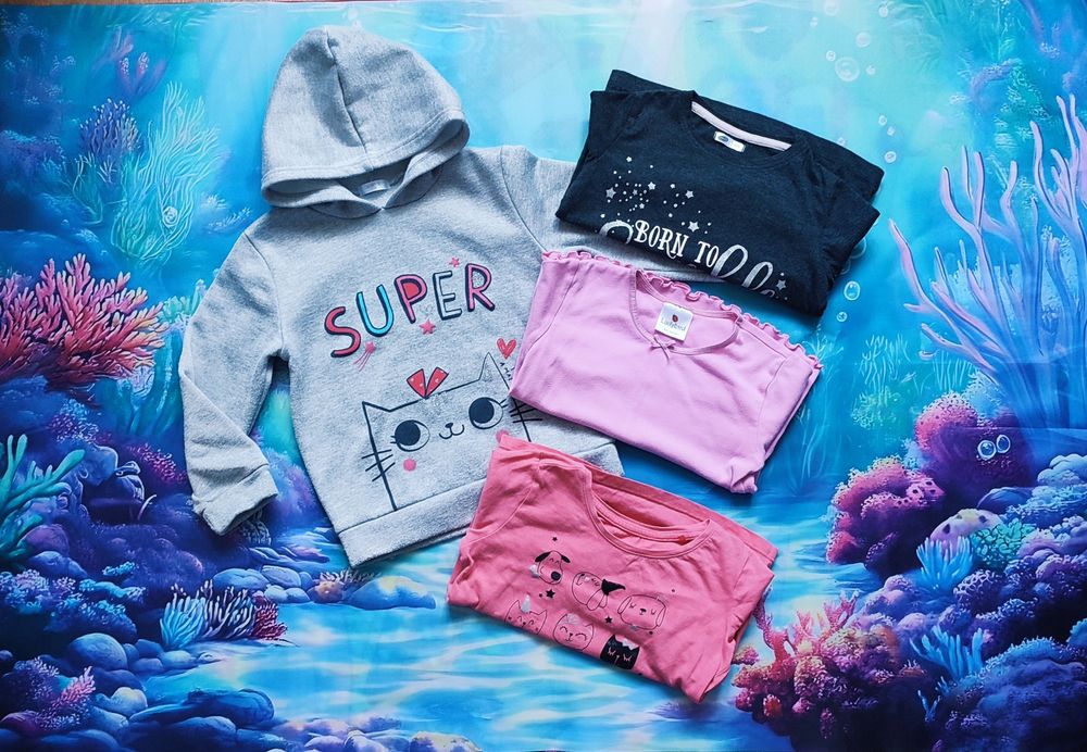 Bluza i 3 bluzeczki koszulki z długim rękawem r. 110