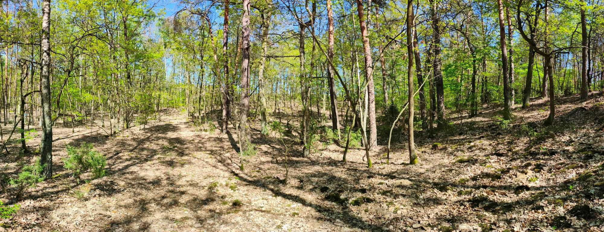 Działka rekreacyjna 3600 m² | pow. Sochaczewski | Mazowieckie