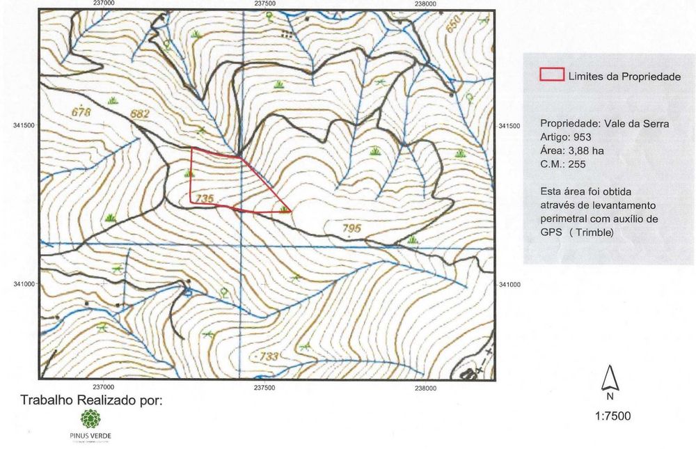 Terreno rustico zona de pinhal 3.8ha