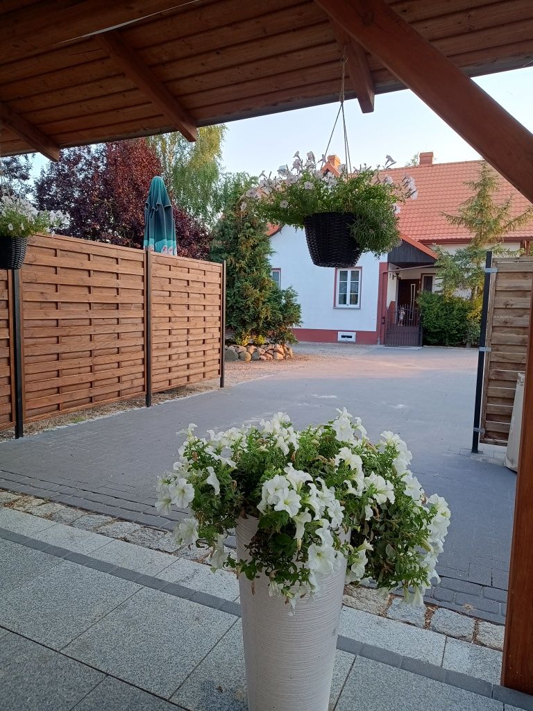 Noclegi.Kwatery.Pokoje.Mieszkania Pracownicze.60 miejsc noclegowych