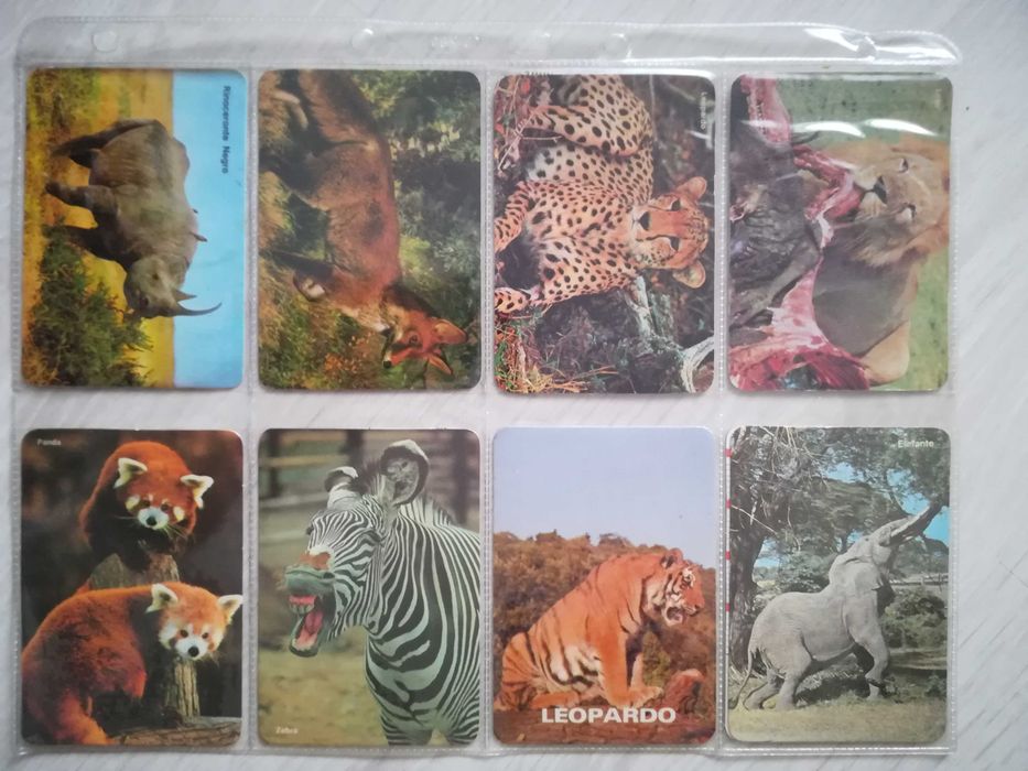 Calendários anos 80 - animais