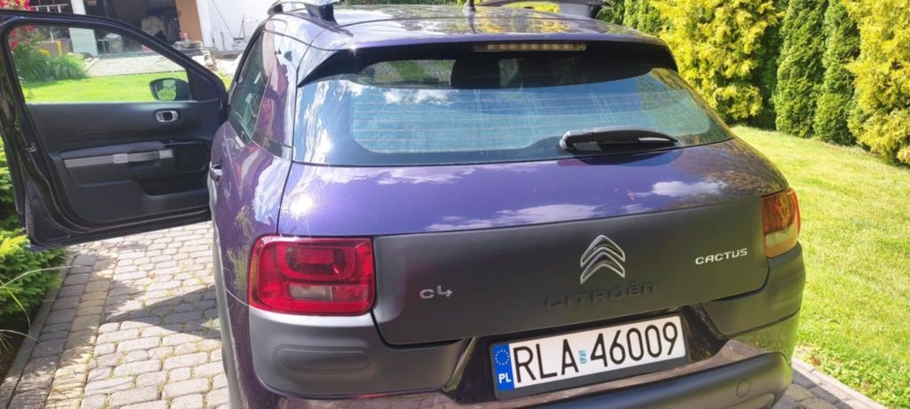 Citroen C4 cactus