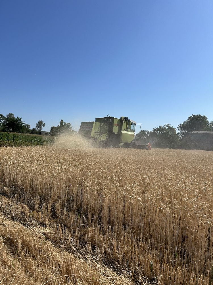 Claas dominator 85