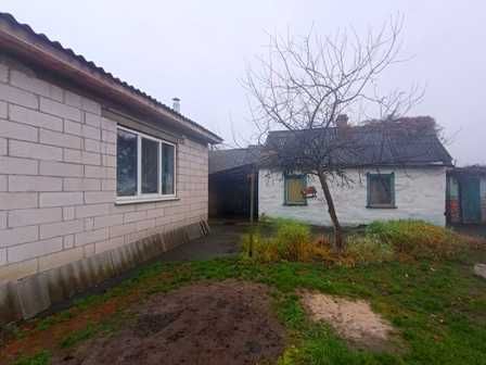 Будинок Золотоноша