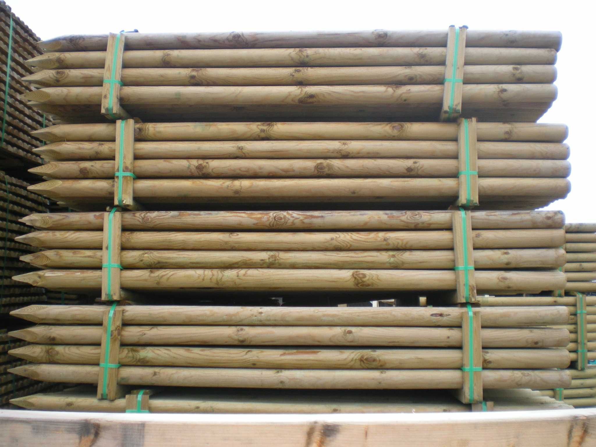 Palik do drzewek Φ8x200