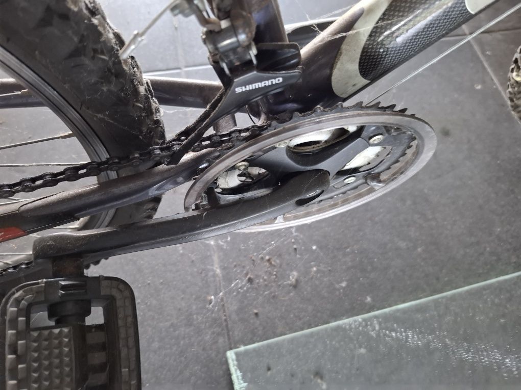 Bicicleta adulto