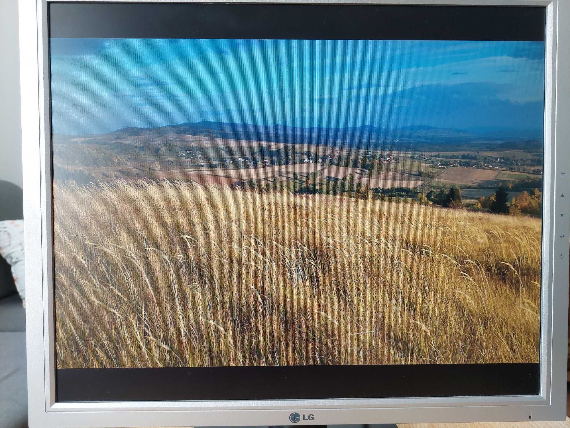 Monitor LCD 19 cali LG