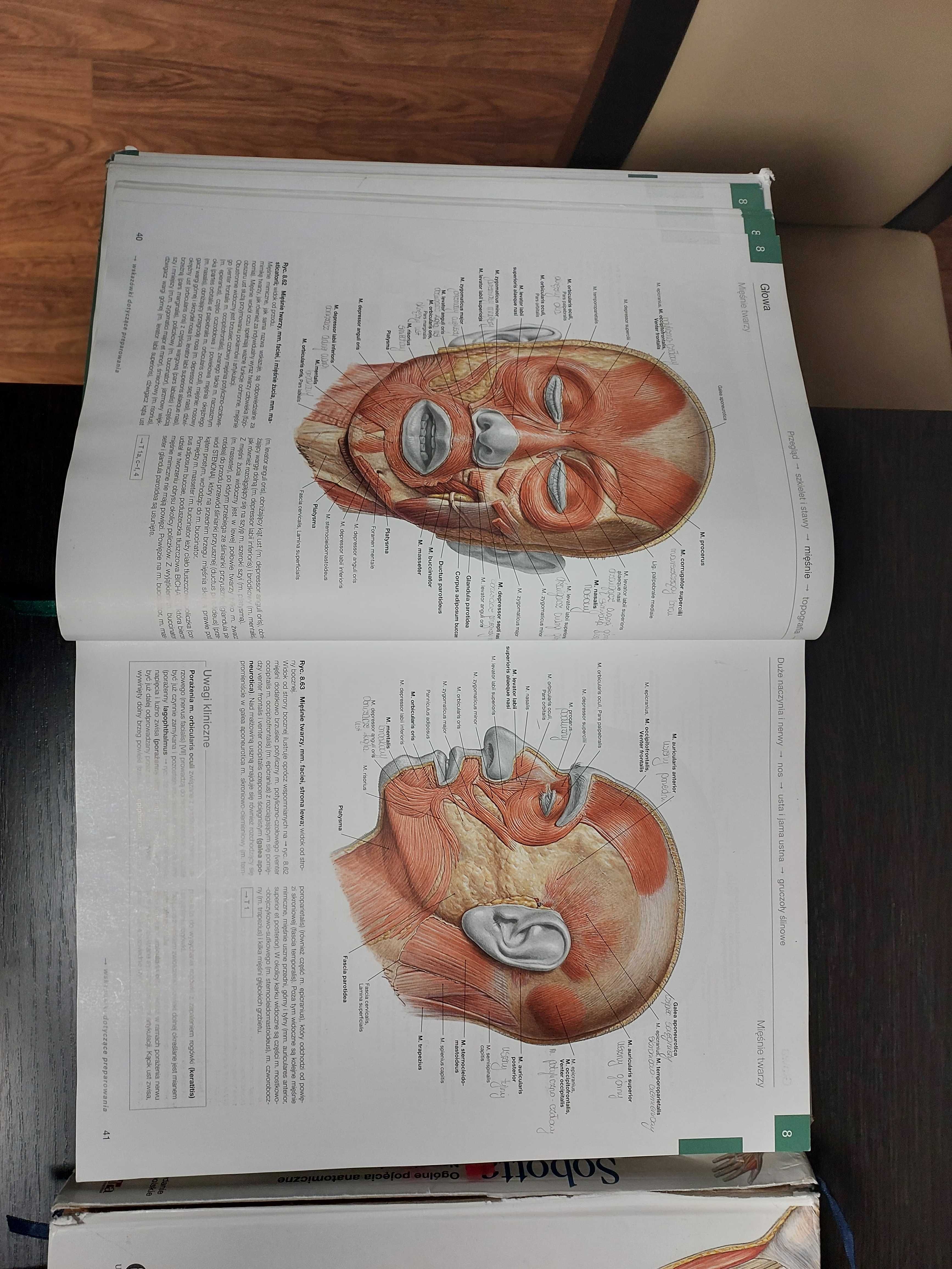 Atlas anatomii człowieka  Sobotta  3 szt