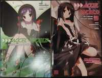 Light Novel ANime Accel World