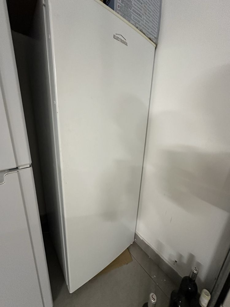 Arca congeladora vertical electrolux