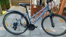 Rower Kellys clea 10