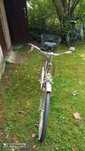 Rower  Emiks damka