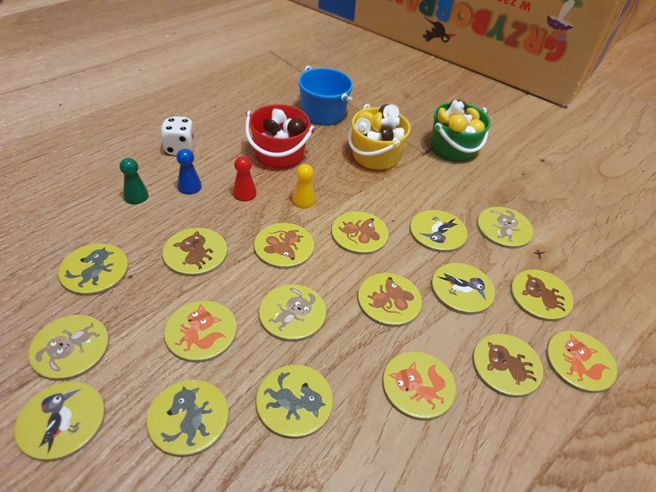 Grzybobranie w zaczarowanym lesie