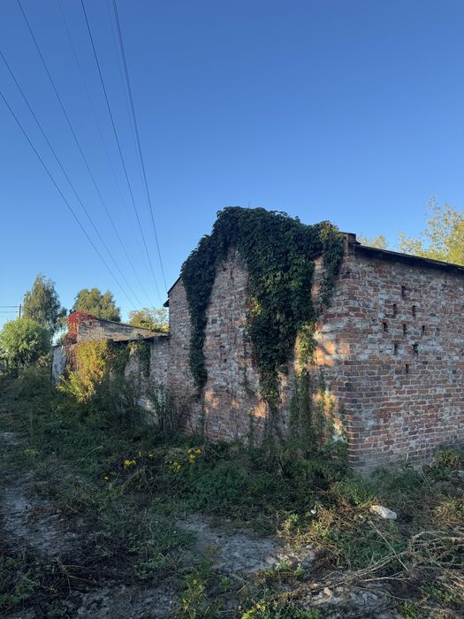 Oddam przedwojenną cegłe z budynków