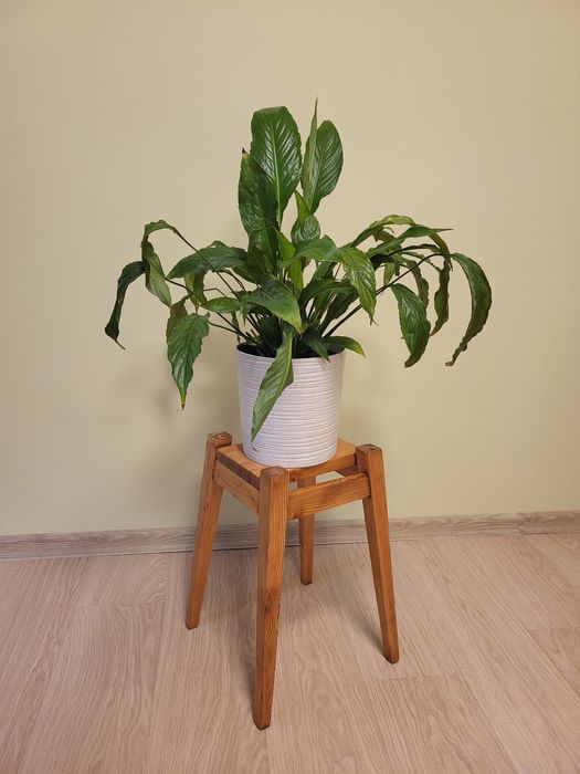Kwietnik drewniany