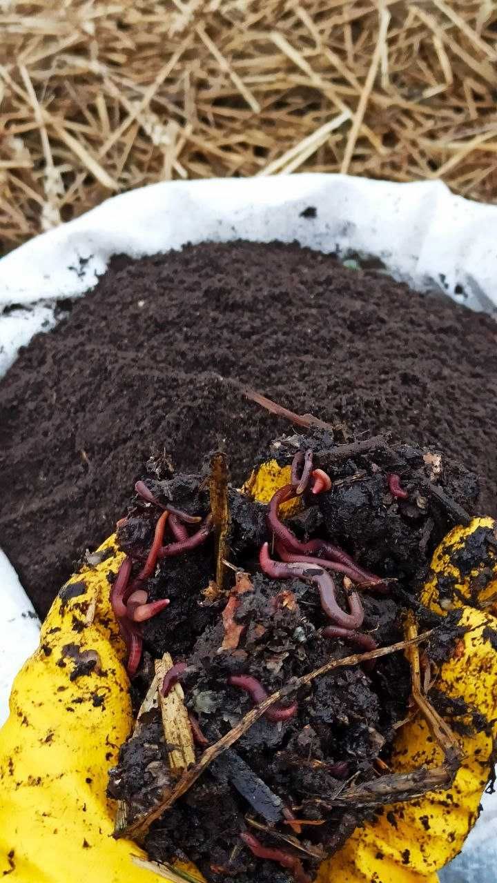 Біогумус вермікомпост просіяний добриво для саду городу 30 кг у мішку