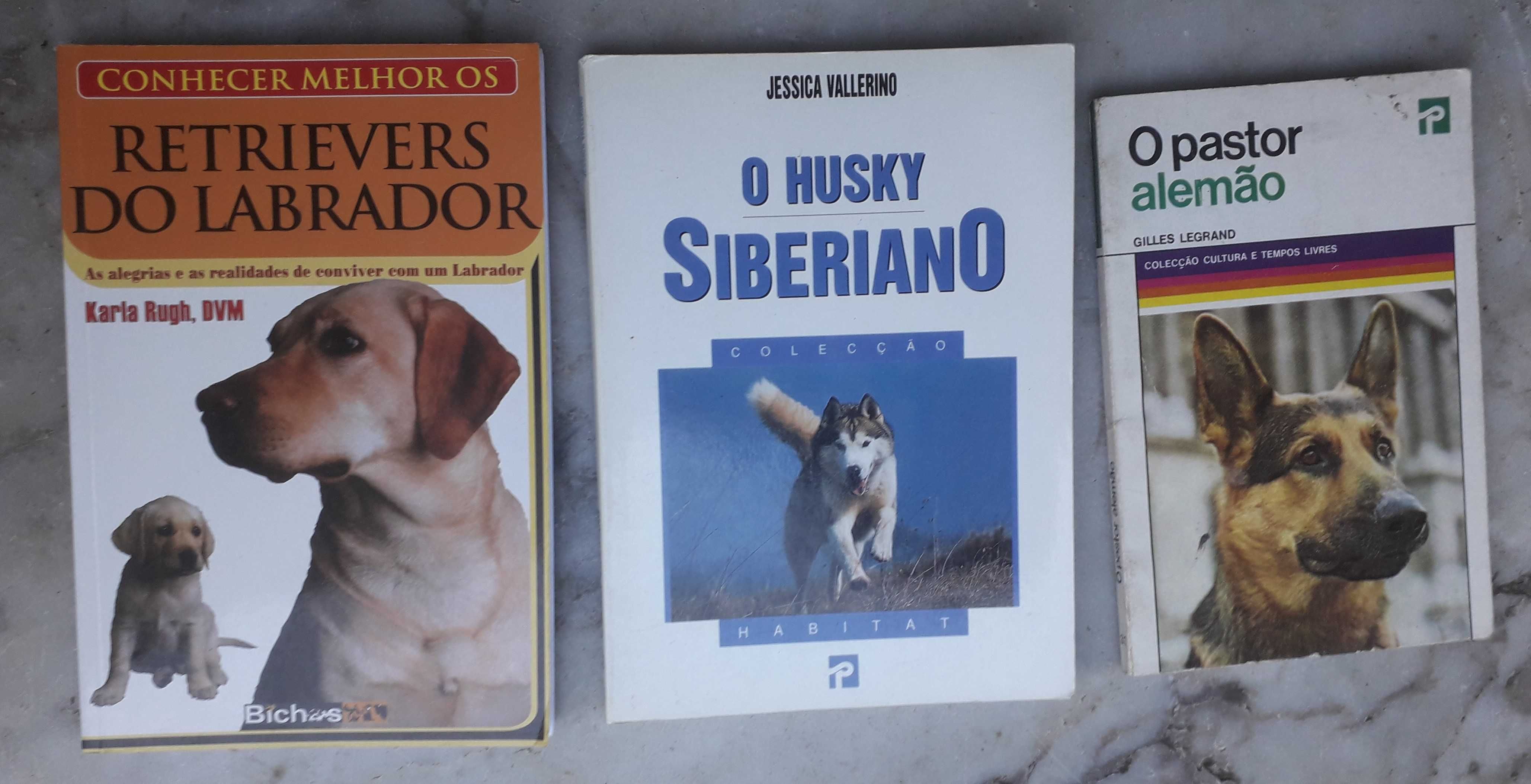 Livros sobre cães ... e gatos