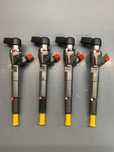 ФорсункиContinental 8200704191 1.5dci Megane Juke Scenic Duster Laguna