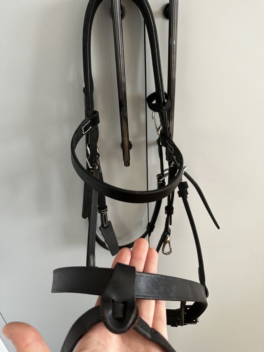 Ogłowie Dyon  Working