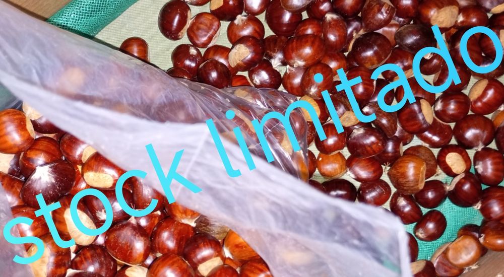 Castanha 1,00€ excelente qualidade