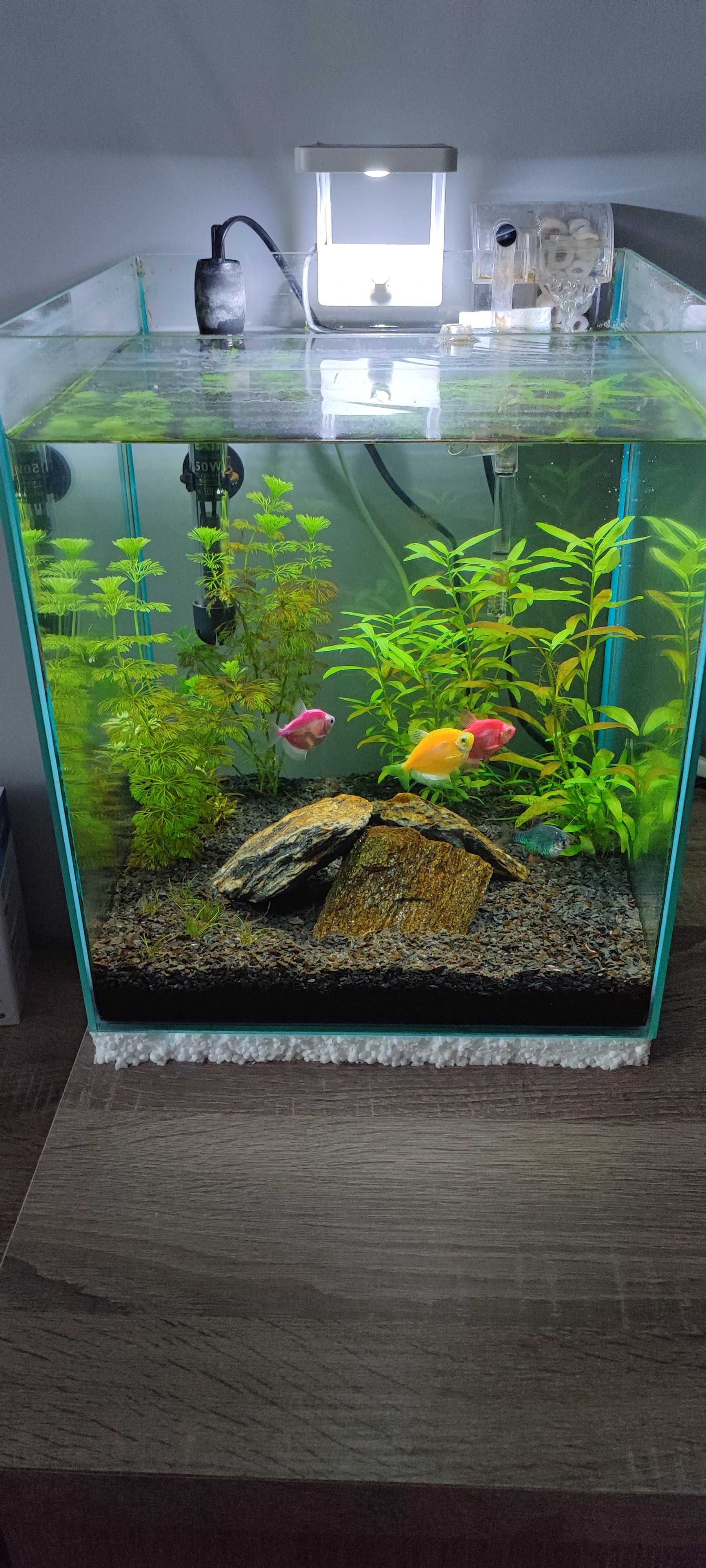 Akwarium kostka 30l