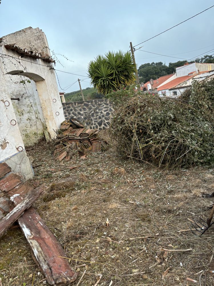 Limpeza de terrenos /Limpeza de arvores /Corte de lenhas /