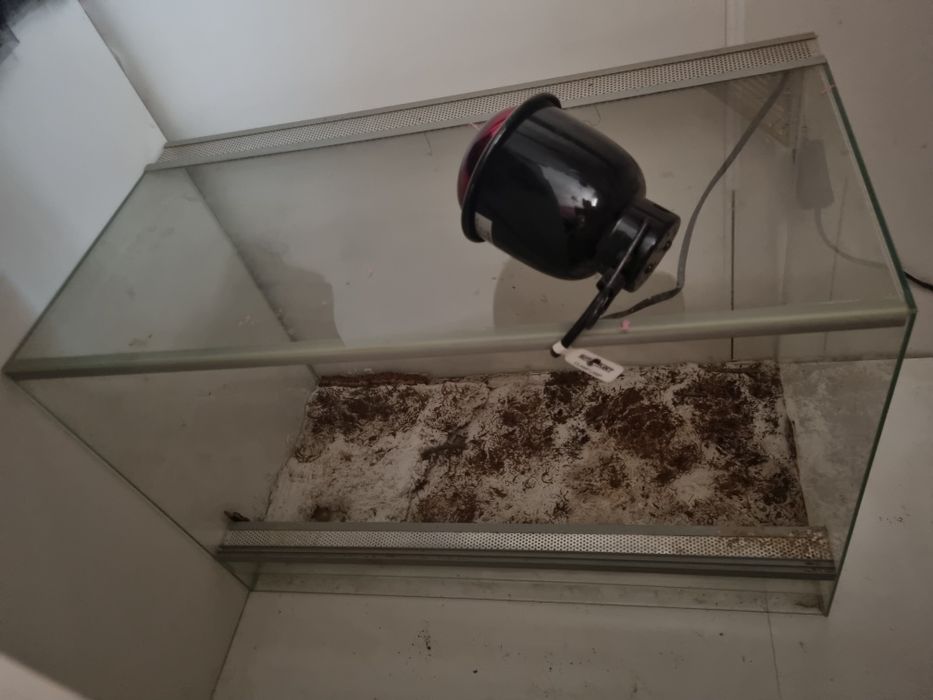Terrarium z lampą
