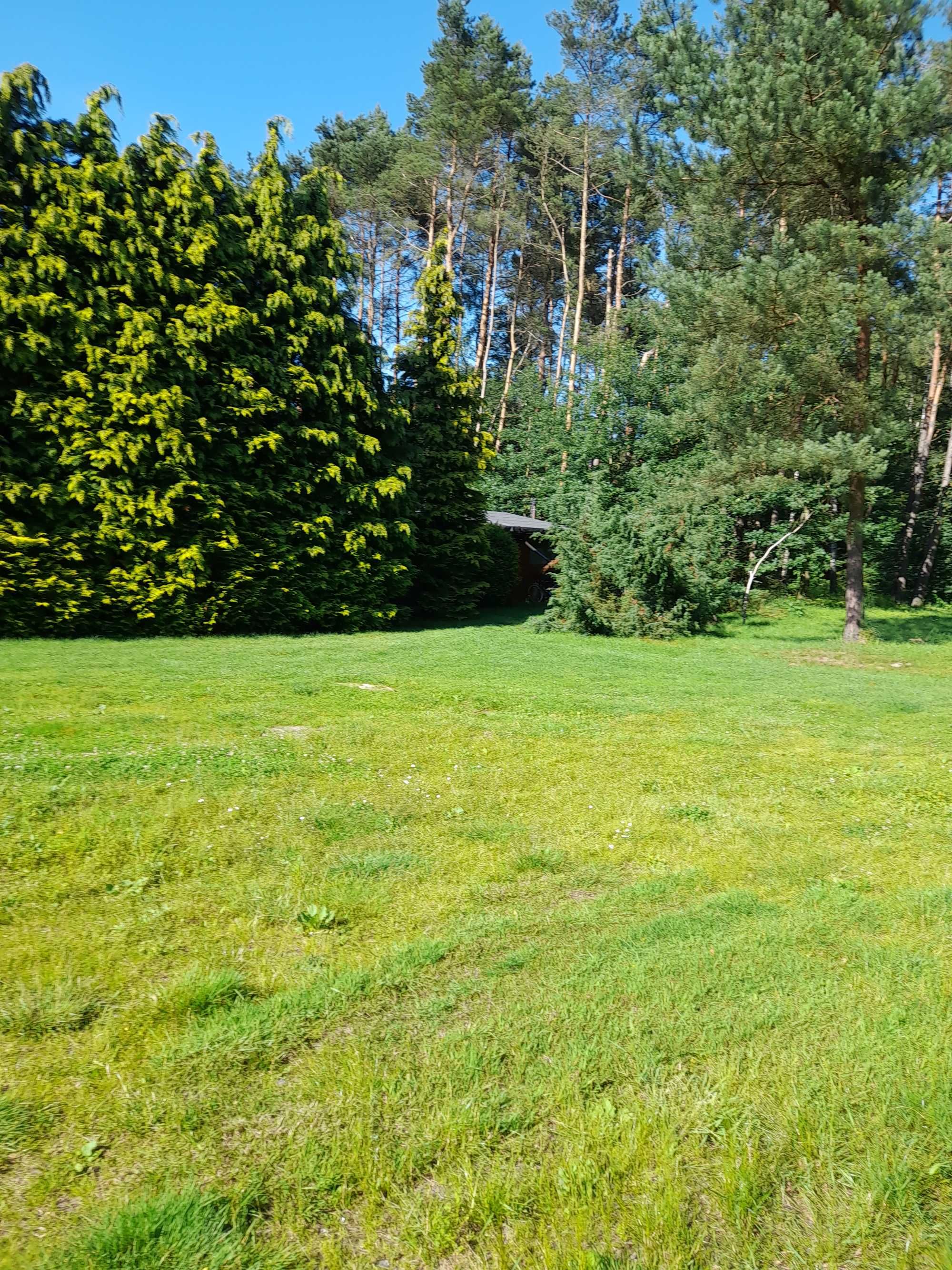 Domek do wynajęcia .Urodziny  , wieczory panieńskie i kawalerskie