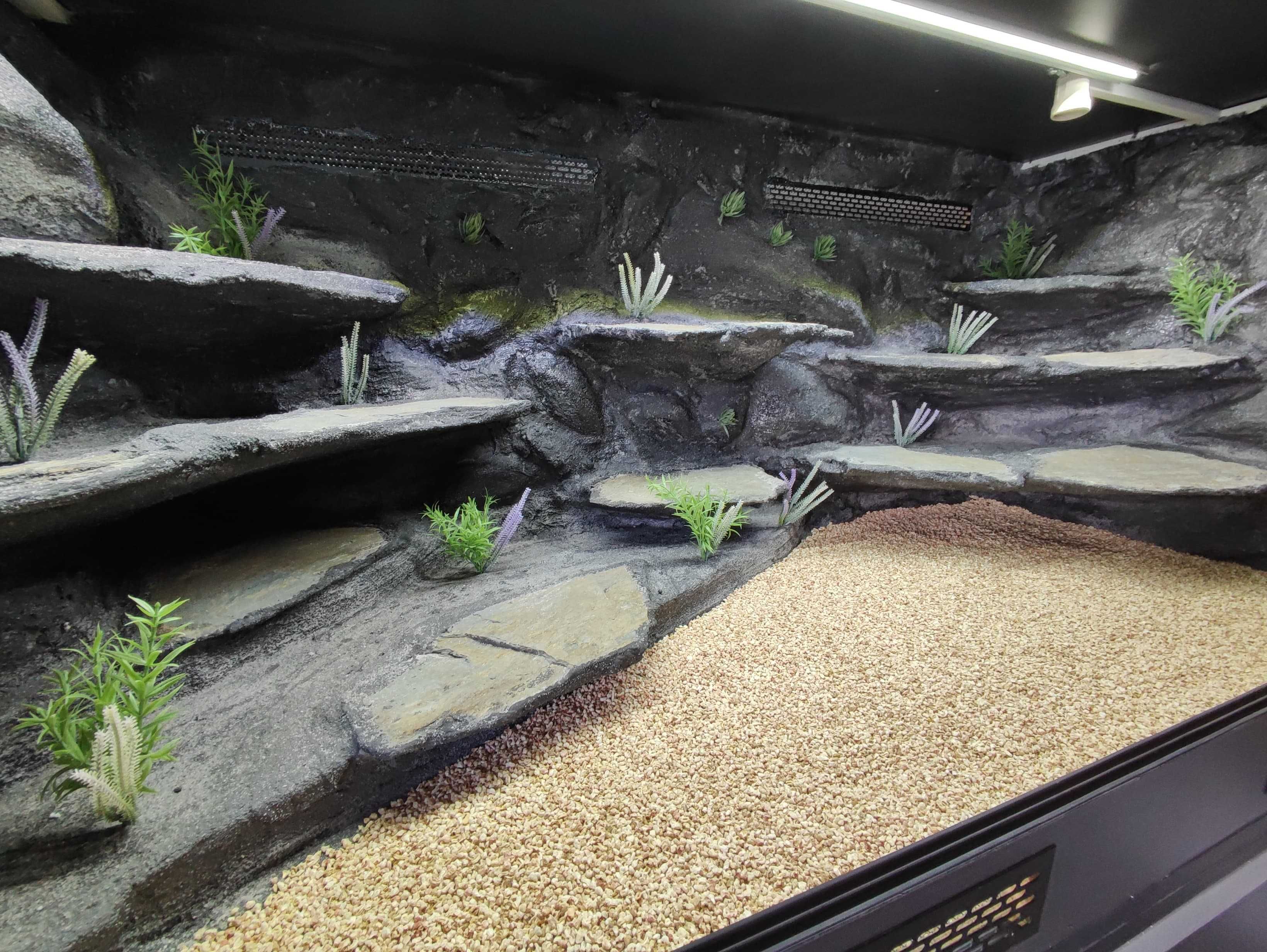 Terrarium pustynne nr714 150/70/70 +szafka dla agamy brodatej DOSTĘPNE