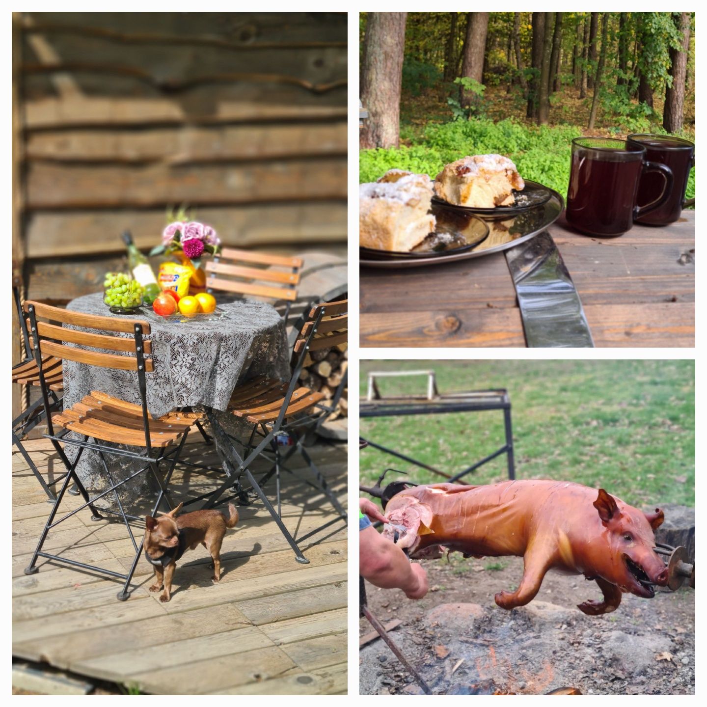 Domek " Na końcu świata ", w lesie z jacuzzi na zewnątrz
