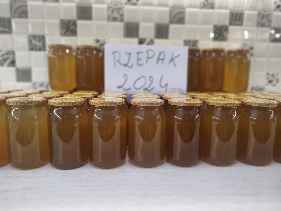 Miód rzepakowy 2024