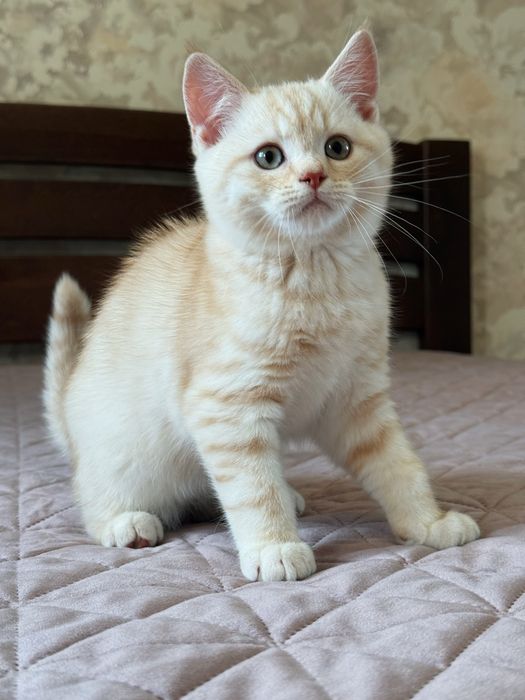 Нежный, ласковый мальчик.