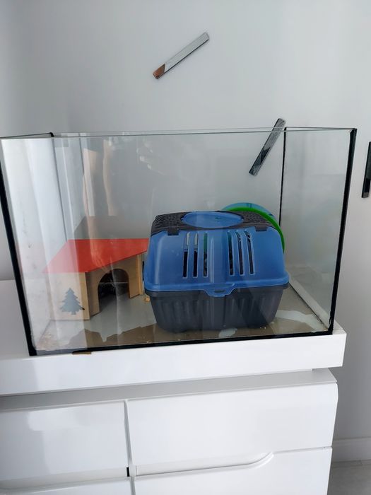 Akwarium 60L dla rybek, gryzonia