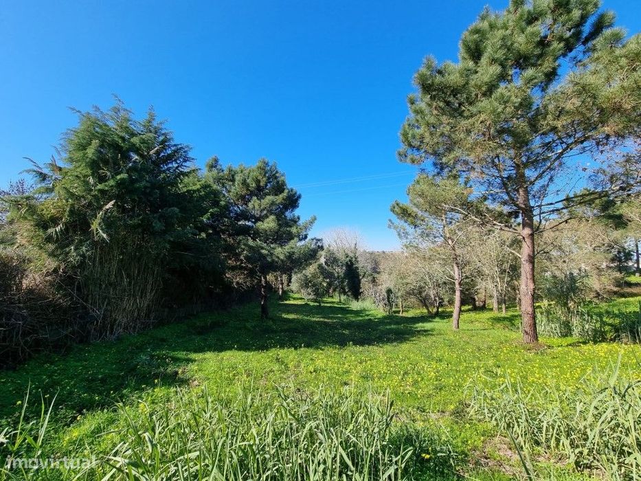 Terreno no Carvalhal com projeto aprovado