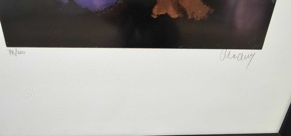 Quadro com Serigrafia de Chichorro