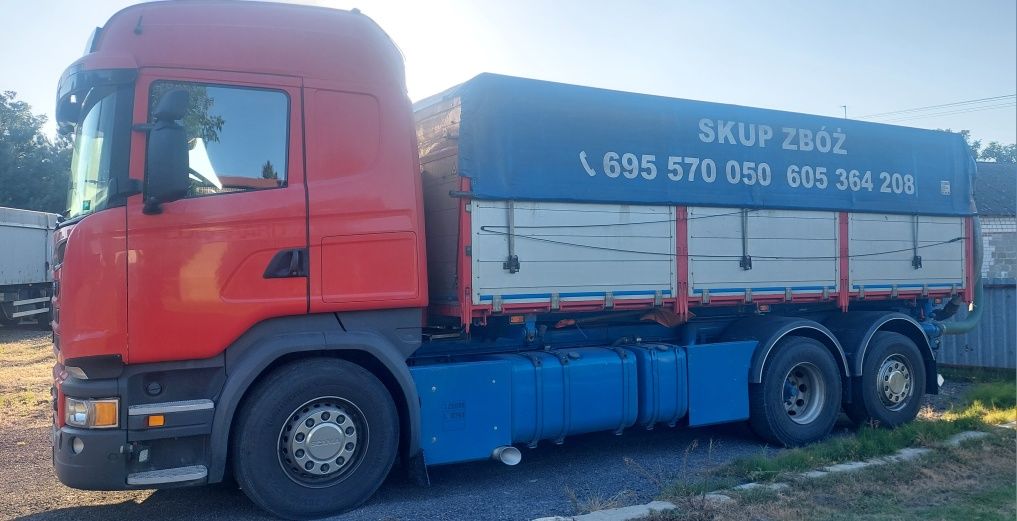 Skup zboża pszenżyto Zyto  pszenica owies jęczmień