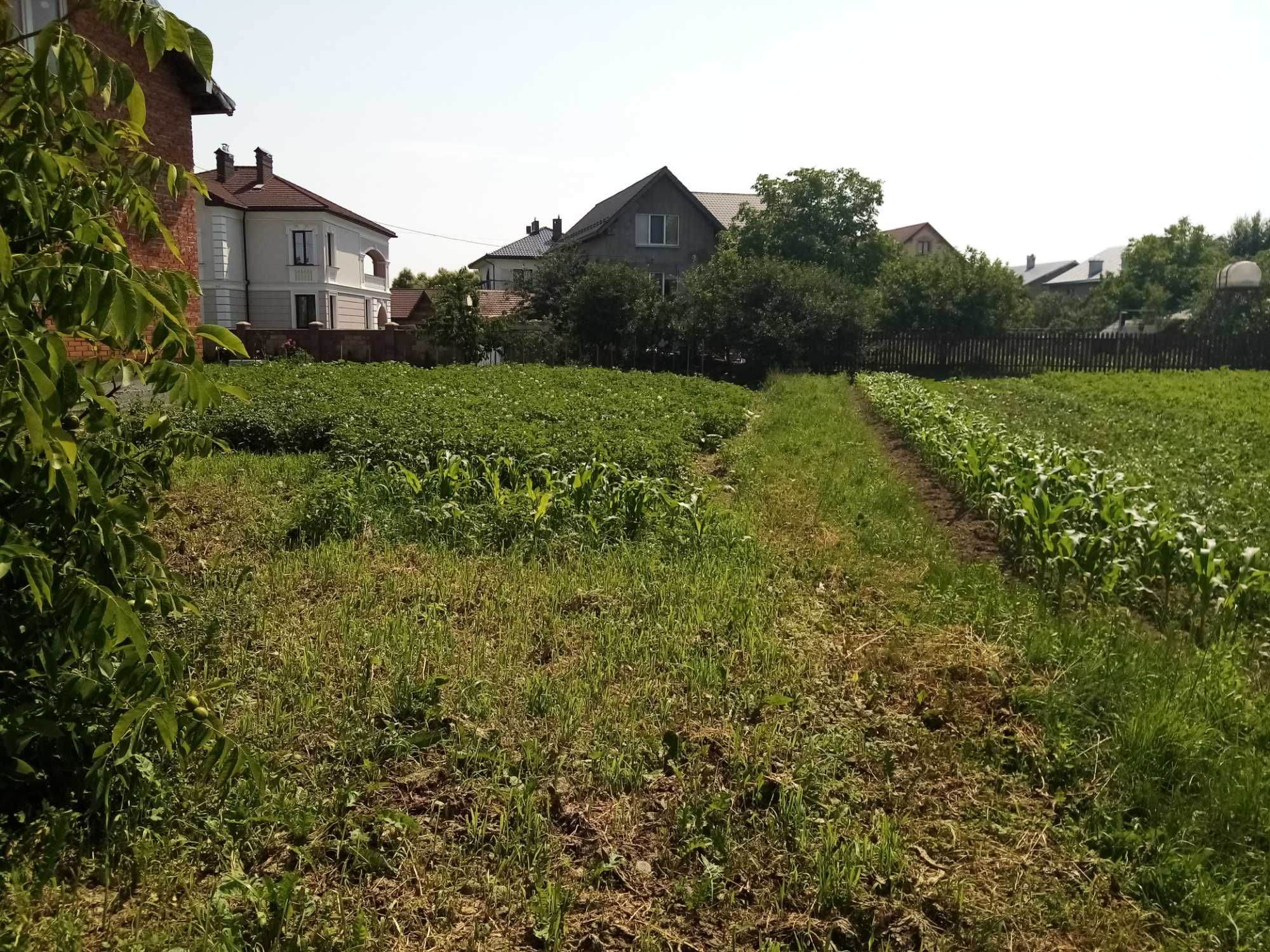 Продається земля в Клузів.