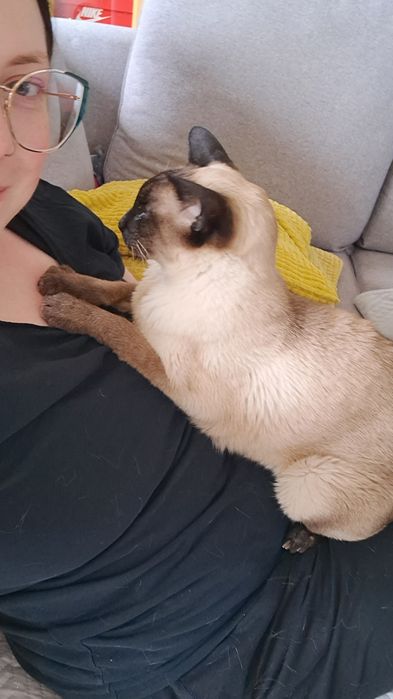 Petsitter na terenie Warszawy