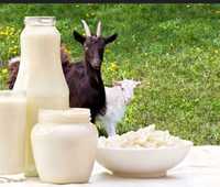 Świeże mleko kozie