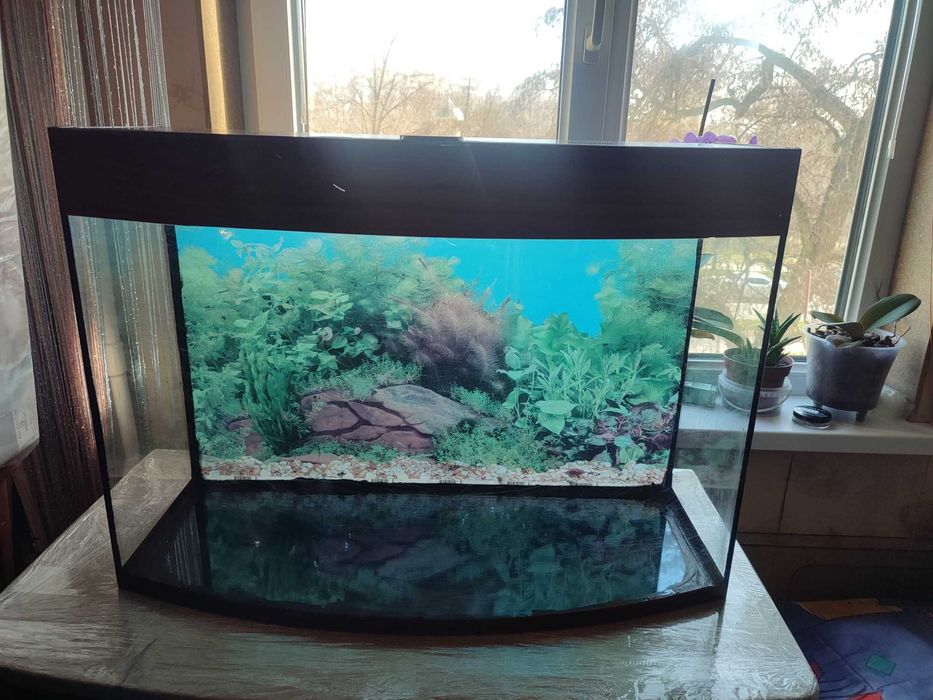 Акваріум 100літрів без тріщин та сколів  70см_х_50см_х_23см(центр 30)