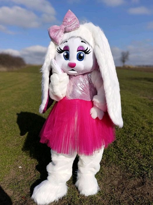 Шуточный стриптиз, Зайка Бейби, мишка Тедди, пес Патрон Киев и область