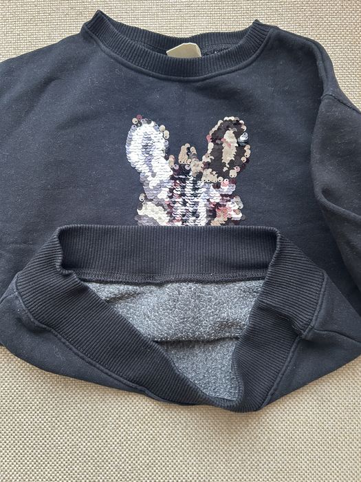 Світшот Zara утеплений з картинкою перевернем